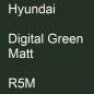 Preview: Hyundai, Digital Green Matt, R5M.